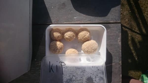 Bitterballen met kip frituren